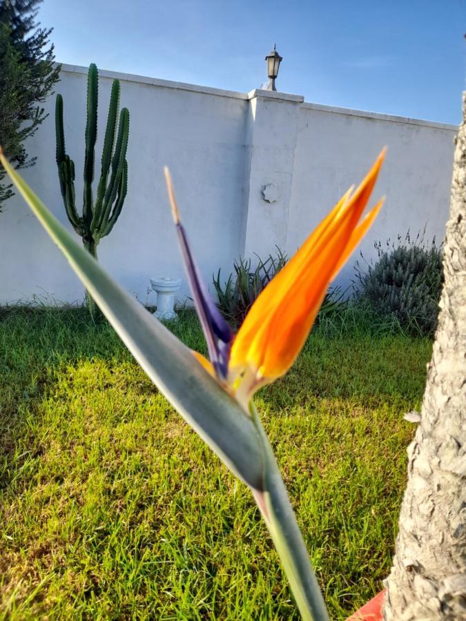 Alojamientos Rurales Inma Conil De La Frontera Buitenkant foto